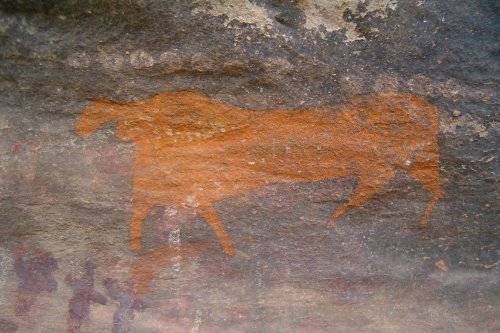 Ganora (5)
